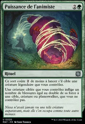 Puissance de l'animiste