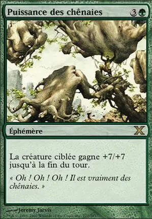 Puissance des chênaies