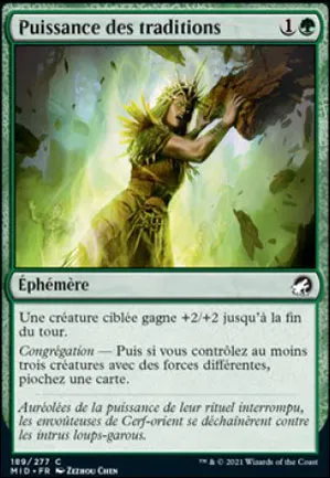 Puissance des traditions