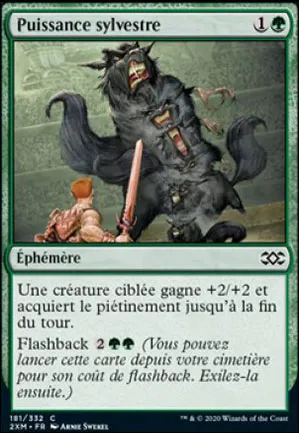 Puissance sylvestre