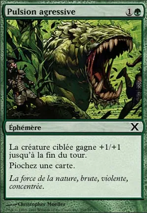 Pulsion agressive