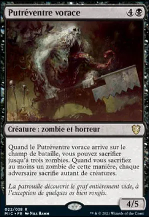 Putréventre vorace