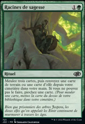 Racines de sagesse
