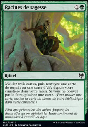 Racines de sagesse