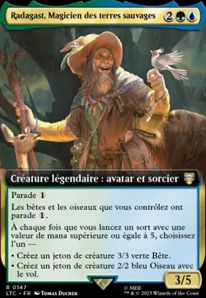 Radagast, Magicien des terres sauvages