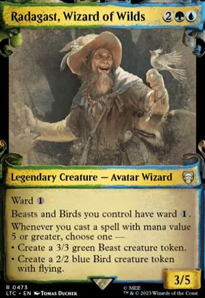 Radagast, Magicien des terres sauvages