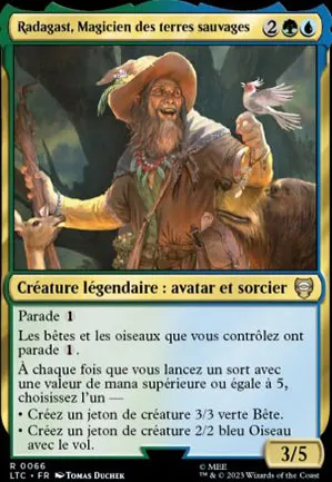 Radagast, Magicien des terres sauvages