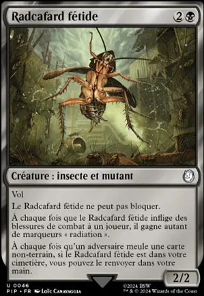 Radcafard fétide