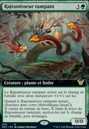 Rajeunisseur rampant