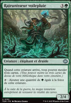 Rajeunisseur voilepluie