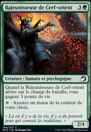 Rajeunisseuse de Cerf-orient