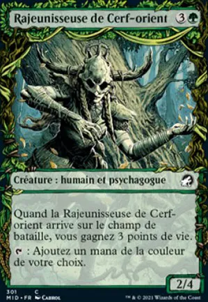 Rajeunisseuse de Cerf-orient
