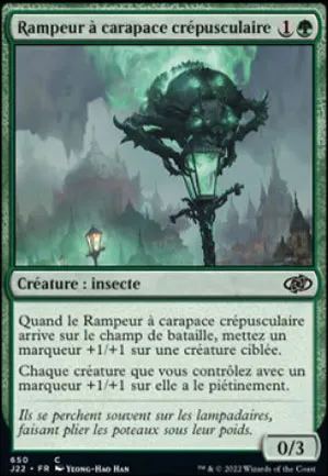 Rampeur à carapace crépusculaire