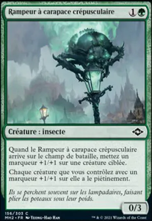 Rampeur à carapace crépusculaire