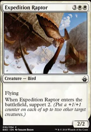 Rapace d'expédition