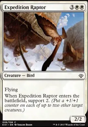 Rapace d'expédition