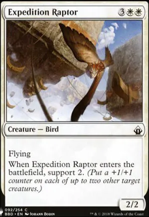 Rapace d'expédition
