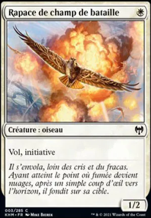 Rapace de champ de bataille