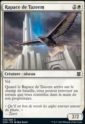Rapace de Tazeem