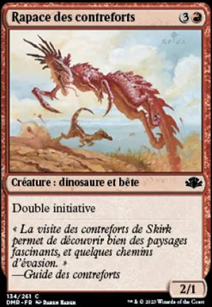 Rapace des contreforts