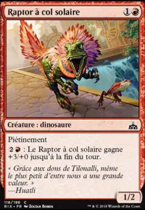 Raptor à col solaire