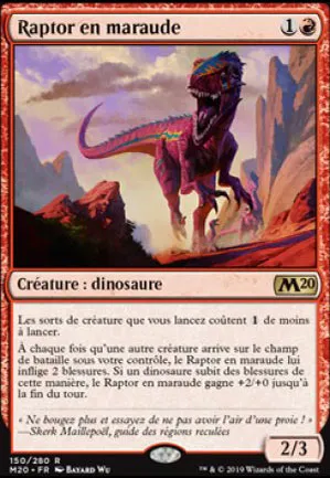 Raptor en maraude