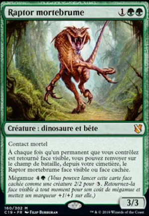 Raptor mortebrume