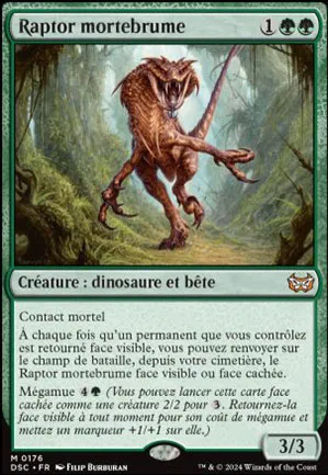 Raptor mortebrume