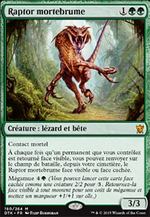 Raptor mortebrume