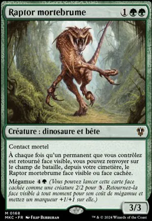 Raptor mortebrume