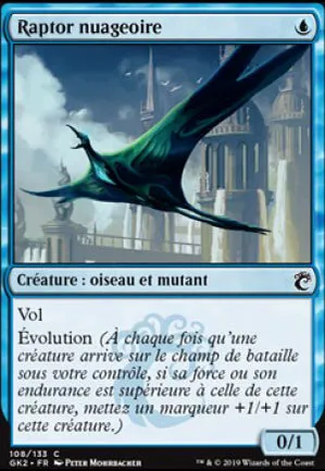 Raptor nuageoire