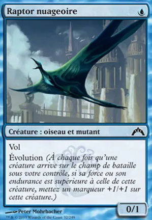 Raptor nuageoire