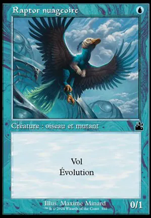 Raptor nuageoire