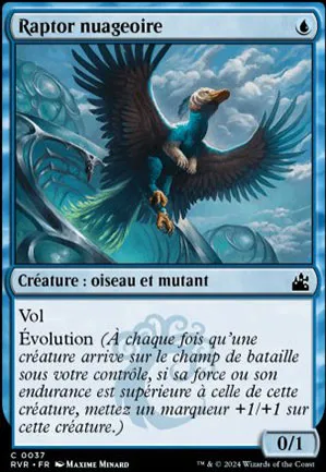 Raptor nuageoire