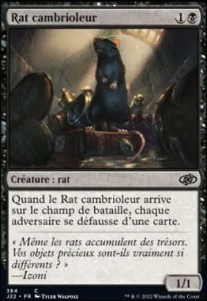 Rat cambrioleur