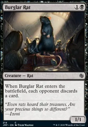 Rat cambrioleur