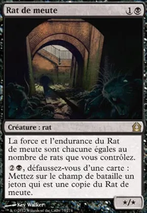 Rat de meute