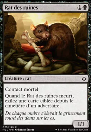 Rat des ruines