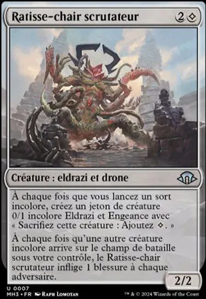 Ratisse-chair scrutateur