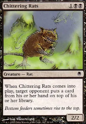 Rats bruyants