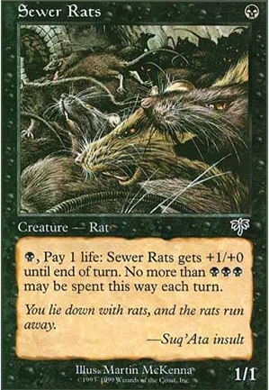 Rats d'égout