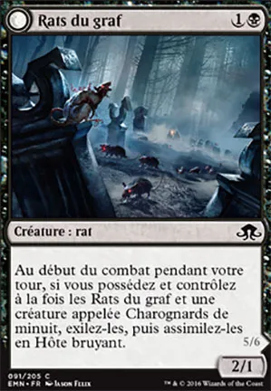 Rats du graf // Hôte bruyant