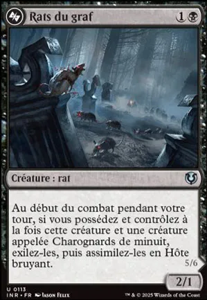 Rats du graf // Hôte bruyant