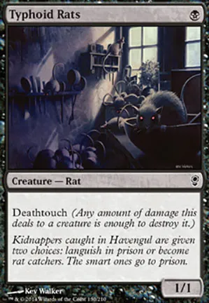 Rats typhoïdiens