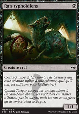 Rats typhoïdiens