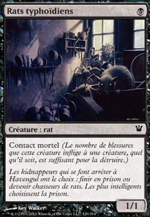 Rats typhoïdiens