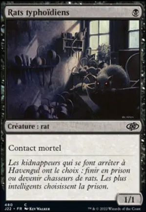 Rats typhoïdiens