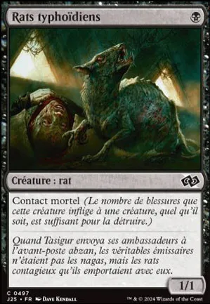 Rats typhoïdiens