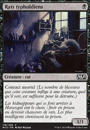 Rats typhoïdiens