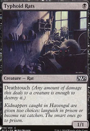 Rats typhoïdiens